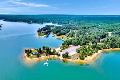 Lake Lot For Sale in Double Springs, Alabama