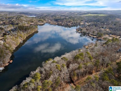 Look at that spectacular view! This property consists of three - photo 12