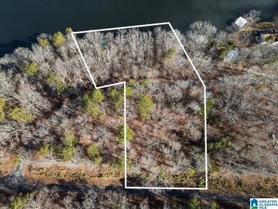 Look at that spectacular view! This property consists of three - photo 13