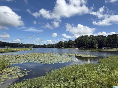 Look at that spectacular view! This property consists of three - photo 19