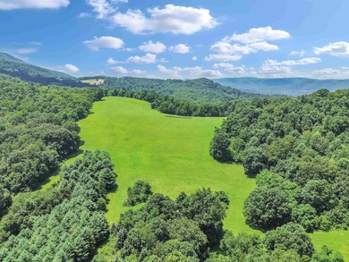 New River Home For Sale in Narrows Virginia