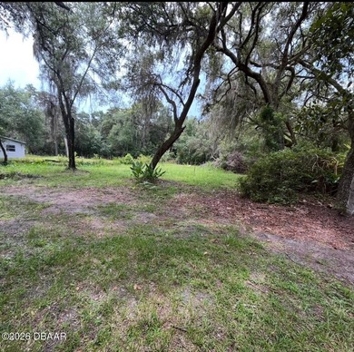 WHOA! Stop your Horses!! Almost 1/2 acre, vacant land, on the - photo 4