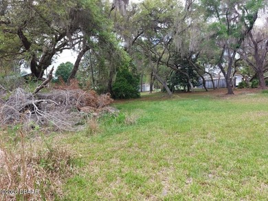 WHOA! Stop your Horses!! Almost 1/2 acre, vacant land, on the - photo 6