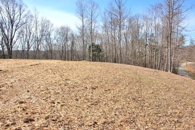 AWESOME YEAR-ROUND WATER WITH SEASONAL LAKE VIEWS! NEW PRICE-$60 - photo 13