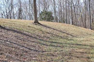 AWESOME YEAR-ROUND WATER WITH SEASONAL LAKE VIEWS! NEW PRICE-$60 - photo 15