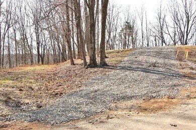 AWESOME YEAR-ROUND WATER WITH SEASONAL LAKE VIEWS! NEW PRICE-$60 - photo 16
