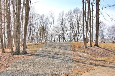 AWESOME YEAR-ROUND WATER WITH SEASONAL LAKE VIEWS! NEW PRICE-$60 - photo 18