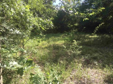 Lake Acreage For Sale in Mena, Arkansas