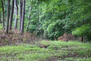 AWESOME YEAR-ROUND WATER WITH SEASONAL LAKE VIEWS! NEW PRICE-$60 - photo 21