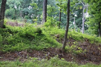 AWESOME YEAR-ROUND WATER WITH SEASONAL LAKE VIEWS! NEW PRICE-$60 - photo 22