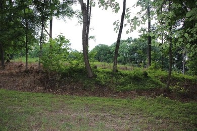 AWESOME YEAR-ROUND WATER WITH SEASONAL LAKE VIEWS! NEW PRICE-$60 - photo 23