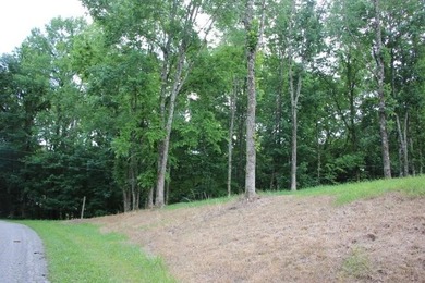 AWESOME YEAR-ROUND WATER WITH SEASONAL LAKE VIEWS! NEW PRICE-$60 - photo 24