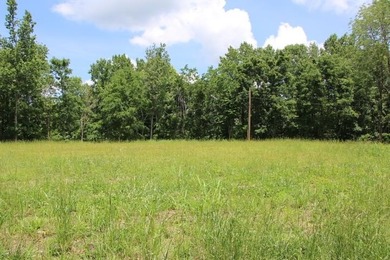 AWESOME YEAR-ROUND WATER WITH SEASONAL LAKE VIEWS! NEW PRICE-$60 - photo 30