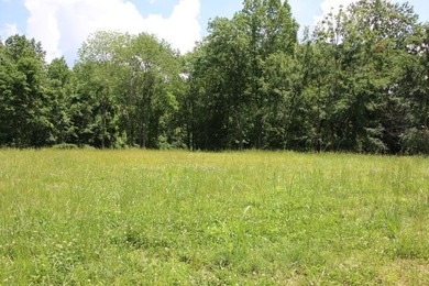 AWESOME YEAR-ROUND WATER WITH SEASONAL LAKE VIEWS! NEW PRICE-$60 - photo 32