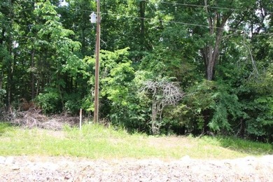 AWESOME YEAR-ROUND WATER WITH SEASONAL LAKE VIEWS! NEW PRICE-$60 - photo 37