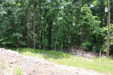 AWESOME YEAR-ROUND WATER WITH SEASONAL LAKE VIEWS! NEW PRICE-$60 - photo 38