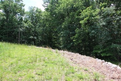 AWESOME YEAR-ROUND WATER WITH SEASONAL LAKE VIEWS! NEW PRICE-$60 - photo 39