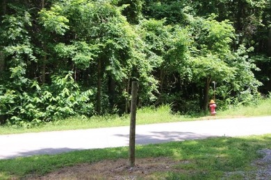 AWESOME YEAR-ROUND WATER WITH SEASONAL LAKE VIEWS! NEW PRICE-$60 - photo 42