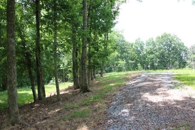 AWESOME YEAR-ROUND WATER WITH SEASONAL LAKE VIEWS! NEW PRICE-$60 - photo 46