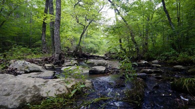 This undeveloped land offers a versatile topography and a prime - photo 2