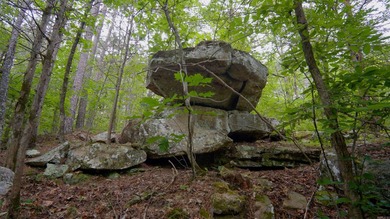 This undeveloped land offers a versatile topography and a prime - photo 4