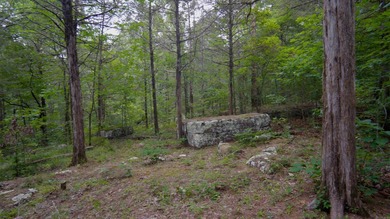 This undeveloped land offers a versatile topography and a prime - photo 5
