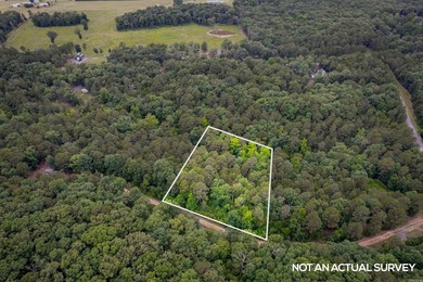 This undeveloped land offers a versatile topography and a prime - photo 6