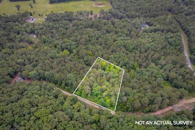This undeveloped land offers a versatile topography and a prime - photo 7
