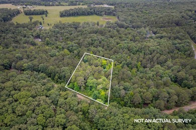 This undeveloped land offers a versatile topography and a prime - photo 8