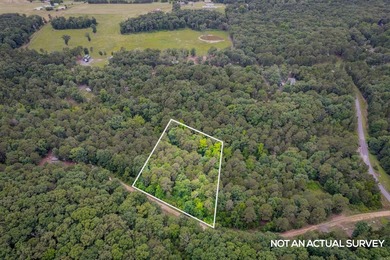 This undeveloped land offers a versatile topography and a prime - photo 9