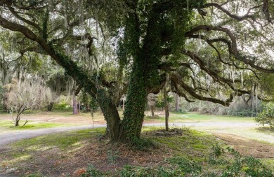 This +/-2.9-acre parcel presents a truly rare opportunity to own - photo 13