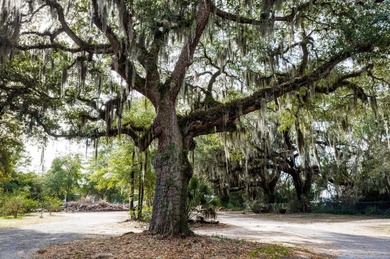 This +/-2.9-acre parcel presents a truly rare opportunity to own - photo 17