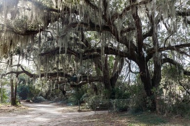 This +/-2.9-acre parcel presents a truly rare opportunity to own - photo 24