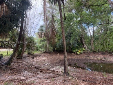 HOW ABOUT THE PERFECT LOCATION FOR BUILDING YOUR PARADISE??? - photo 33