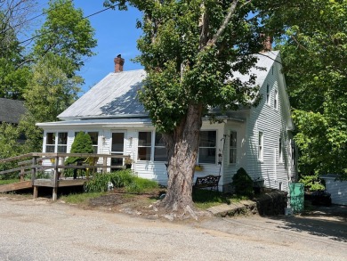 Lake Home For Sale in Acton, Maine