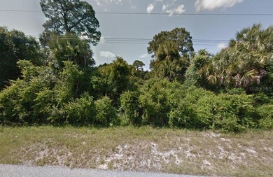 Build your dream home on this standard-sized residential lot in - photo 3