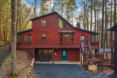 Ellijay River Home For Sale in Cherry Log Georgia