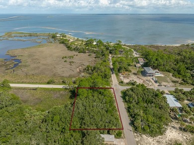 Residential lot on paved street with potential Gulf and Bay - photo 4