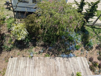 3 bedroom/1 bath apartment and business for sale. The upstairs