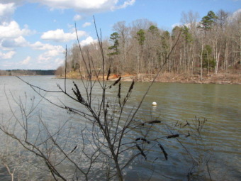 Big Water Views - Lake Lot For Sale in Buffalo Junction, Virginia
