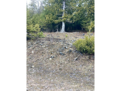 Lake Huron - Chippewa County Lot For Sale in Drummond Island Michigan