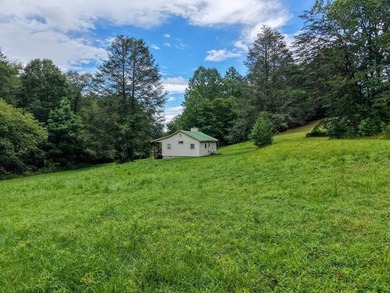 (private lake, pond, coastal) Home For Sale in Epworth Georgia