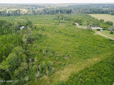 (private lake, pond, creek) Acreage For Sale in Bogue Chitto Mississippi