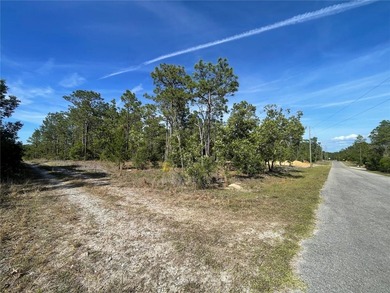 Beautiful .23 acre lot just off paved road. A great location to - photo 4