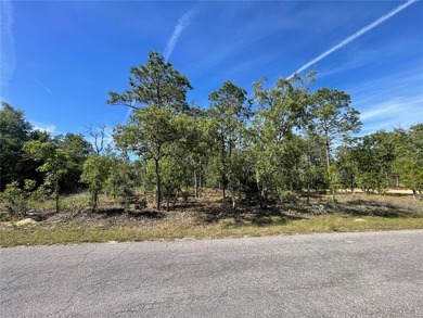 Beautiful .23 acre lot just off paved road. A great location to - photo 5