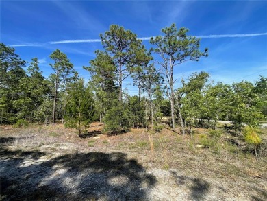 Beautiful .23 acre lot just off paved road. A great location to - photo 6