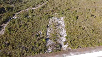 SELLING TWO LOTS SIDE BY SIDE S5125213 & S5125217 WITH CITY - photo 6