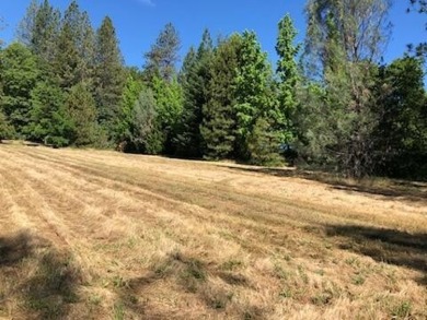 Lake Lot For Sale in Lakehead, California