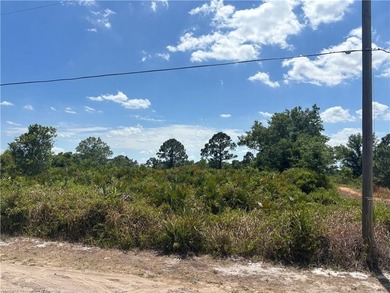 High dry corner lot on a paved road in Avon Park Lakes. Close to - photo 1