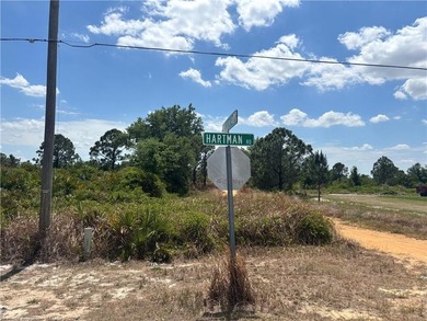 High dry corner lot on a paved road in Avon Park Lakes. Close to - photo 3